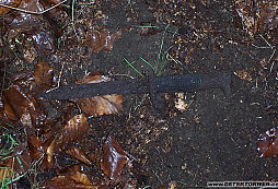 Druhý letošní mrcas