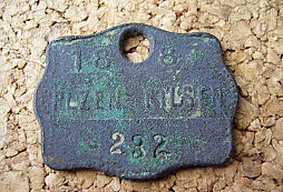 První společné hledání