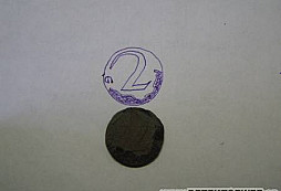 Úrodné políčko za Šluknovem