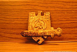 Nedělní procházka po kraji lesíčka