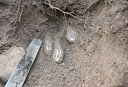 Co že? Vydličky a nože