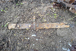 Včesrajši výlet do lesika