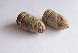 Cim sa strielalo v nasom lesiku V.