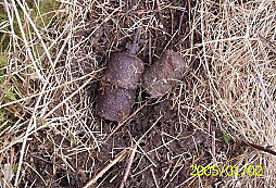 Jeden menší smetáček