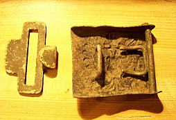 První letošní nález