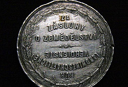 Šel jsem na mince a ono tohle