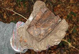 Stejný les podruhé