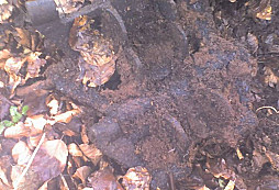 Šrot nebo něco zajímavého?