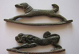 Křesadla a přesleny