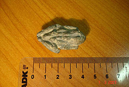 Jak jsem "kopl" žábu