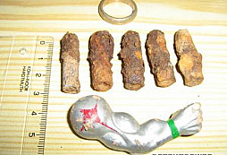 Půlhodinová procházka lesíkem