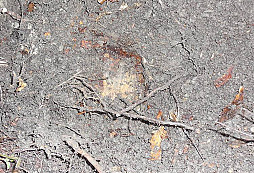 Konečně to přišlo