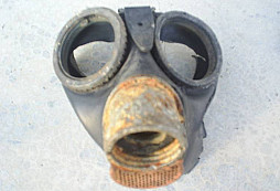 Šrot lesní a prosba o radu