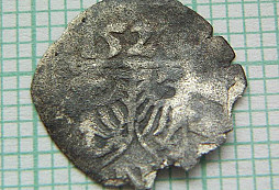 Stříbrňáci polní II.
