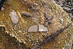 Sobota