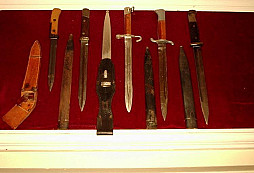 Naše sbírka motýlů