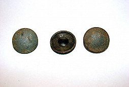 Prírastky za posledný mesiac