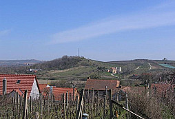Vinice