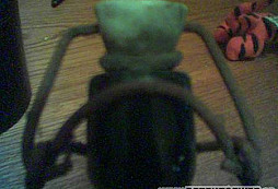 Půda, seník, sklep