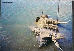 Krásný Nový rok 2008!