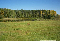 Malé ohlédnutí za rokem 2007