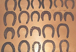 Podkovičky pěkně zvoní