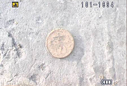 Včerejší návštěva v lese