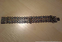 Nálezy z jednoho malého lesa