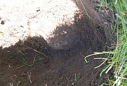 Sudety - dvě sklenice od Tibeťana