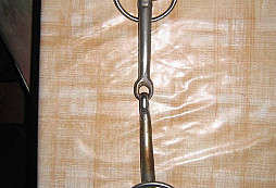 Také trochu od koní!