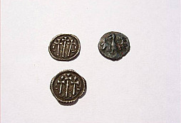 Z naseho a cudzieho lesika