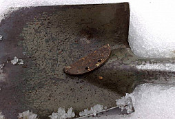 Něco málo za leden