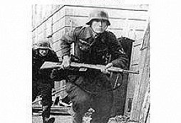 Volkssturmgewehr VG 2