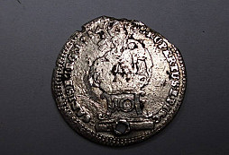 Určení stříbrňáčků