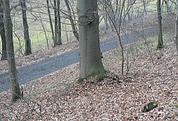 Konečně to přišlo