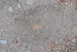 Nálezy za Želechovic