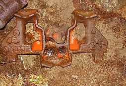 Neznámé články pásu