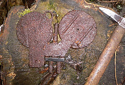 Prosbička o pomoc s určením