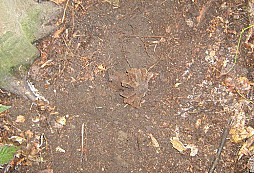 Zase železo do šrotu