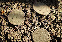 Neuveritelná nedela