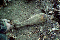 Nálezy a fotky Slovensko