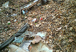 Něco málo z rybníka