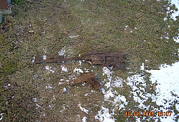 Když se jde na mince