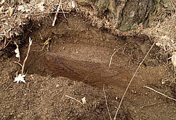 Trocha veteše z německých pozic