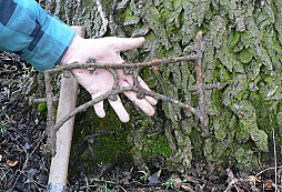 Odpolední procházka v parku