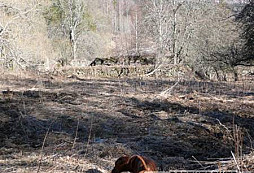 Staré neměcké stavení