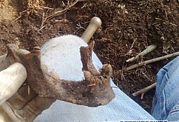 Ubrousku prostři se!