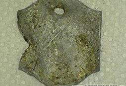 Pár věciček z políčka