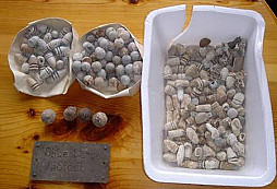 Nálezy od "Slater" za rok