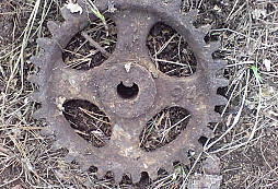 Něco z pražského políčka